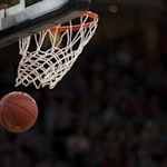 辽宁飞豹篮球俱乐部徽章